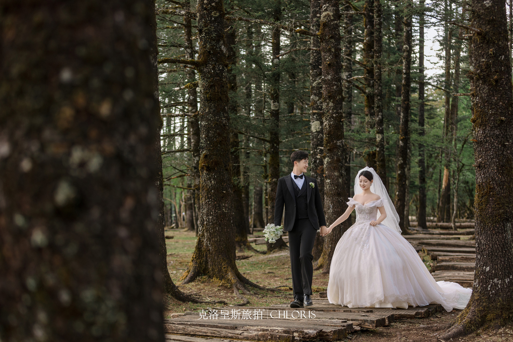 客片-云杉坪系列10